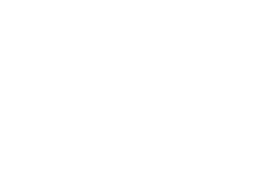 Funk Fest Logo