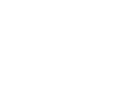 Medici Project Logo
