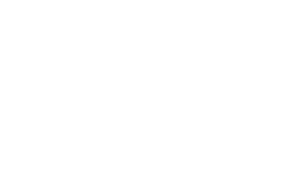 OneRace Logo