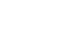 The Village Market Logo